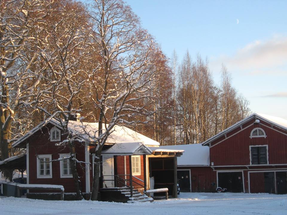 Husön ratsastuskoululla on monta tallirakennusta ja paljon hevosia sekä poneja.